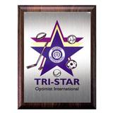 1812P - Tri-Star Sports Plaque - thumbnail