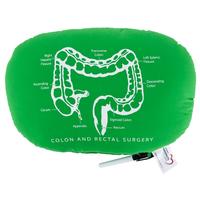 124 - Oval Pillow with Colon/Rectal Diagram - thumbnail